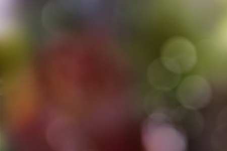 transparent colourの写真素材