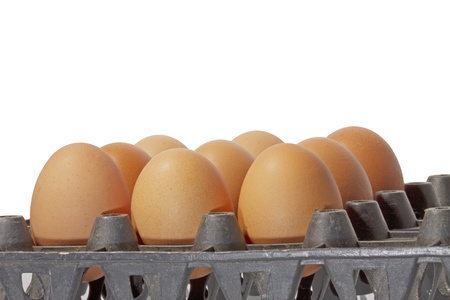 an eggsの写真素材