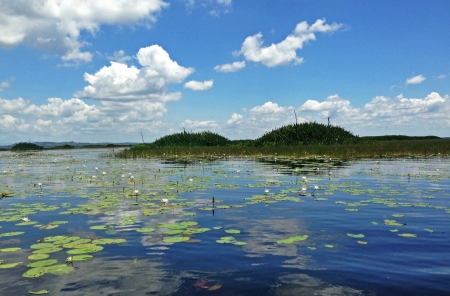 boat and lakeの写真素材
