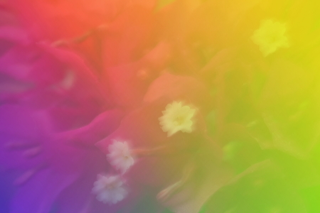 color abstract