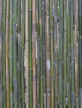 This is a bamboo texture.の写真素材