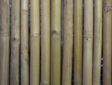 This is a bamboo texture.の写真素材