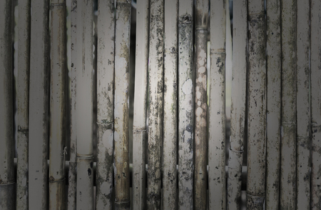 A bamboo is texture.の写真素材