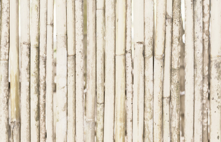This is a bamboo texture.の写真素材