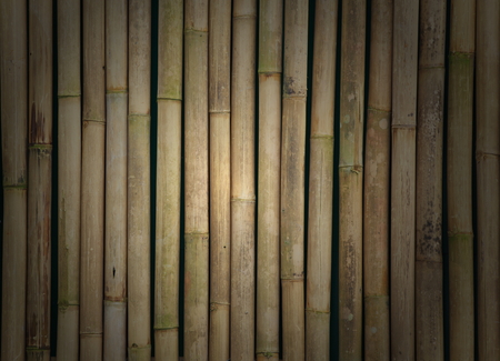 This is a bamboo texture.の写真素材