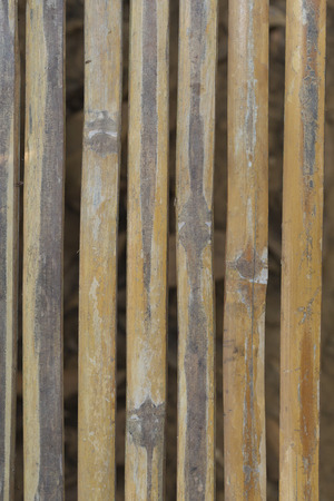 This is a bamboo texture.の写真素材