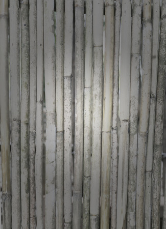 This is a bamboo texture.の写真素材