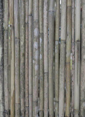 This is a bamboo texture.の写真素材
