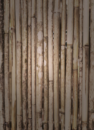 This is bamboo wood texture.の写真素材
