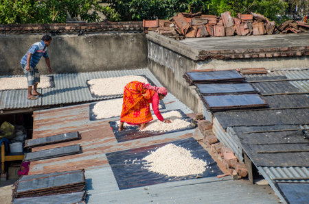 02nd december 2021 rural west bengal india :Lentil dumplings are one of the most delicious and popular cooking ingredients in Bengali cuisine.An adult worker flips the dried lentil dumplings.のeditorial素材