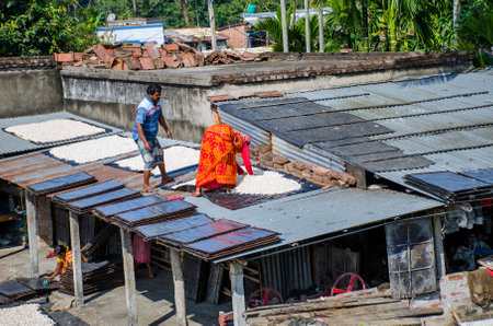02nd december 2021 rural west bengal india :Lentil dumplings are one of the most delicious and popular cooking ingredients in Bengali cuisine.An adult worker flips the dried lentil dumplings.のeditorial素材