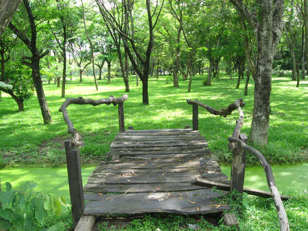 Wood bridge of nature.の写真素材
