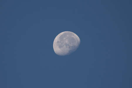 Moonlightの写真素材