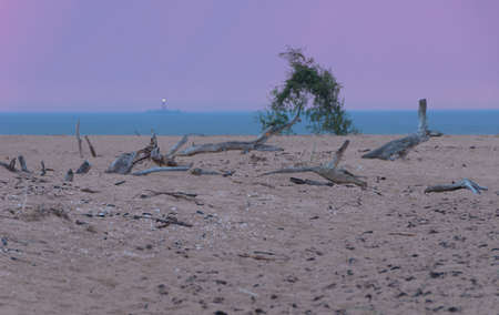 Colorful sunrise on the cape Kolka. Baltic sea. Drift wood on the sand, old lighthouse on background.の写真素材