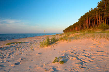 Empty wild beach with the rays of the passing sun. Baltic sea coast. Latvia.の写真素材