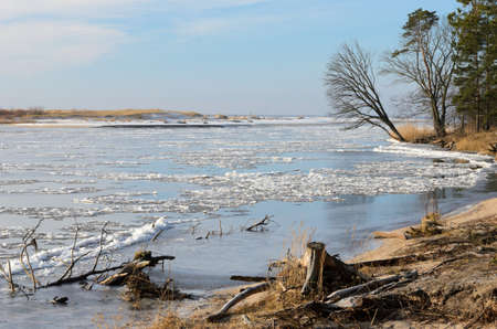 The ice floes on the river in winter.の写真素材