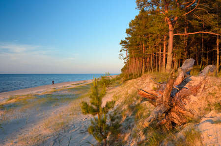 A wild beach in the rays of the passing sun. Baltic sea coast. Latvia.の写真素材
