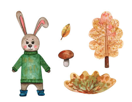 Set with a hare, tree, autumn leaf, mushroom and Bush. Watercolor illustrationの写真素材