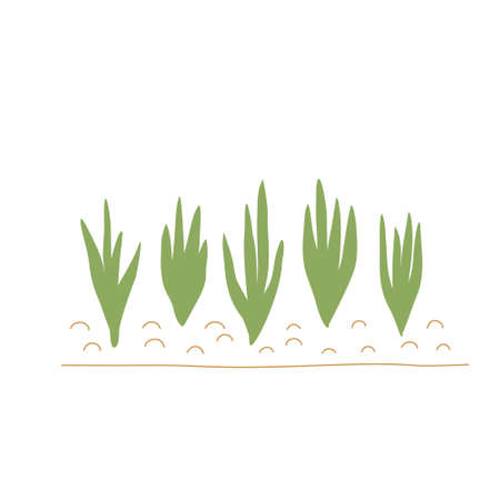 Sprouts in the garden, an element of gardening. Cute vector illustrationのイラスト素材