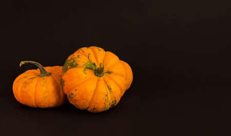 Pumpkins on a black background. Background with copy space.の写真素材