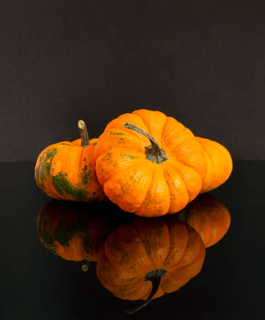 Pumpkins on a black background with reflection