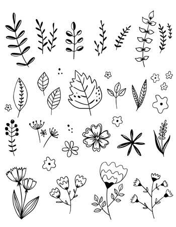 Set of simple flowers, grass, twigs. Black lines on white background, sketch, Doodle styleのイラスト素材