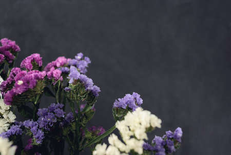 Kermek on a dark gray. The statice plant for bouquets and dried flowers. Background with copy space.の写真素材