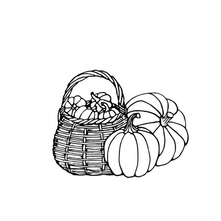 Hand drawn black and white pumpkins in basket. Cartoon doodle outline of vegetables. Symbol of autumn harvest and Halloween.のイラスト素材