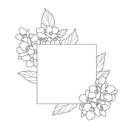 Border of simple twigs with flowers. Square frame with black lines on white background, sketch, Doodle style. Hand drawn vector illustration with copy spaceのイラスト素材