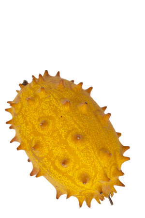 an isolated kiwanoの写真素材