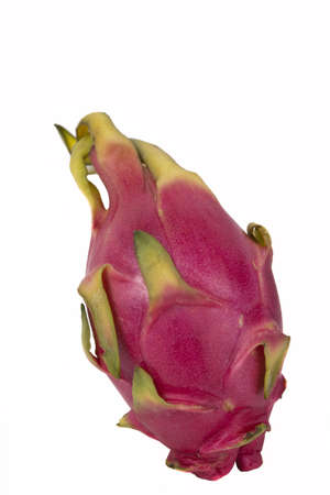 an isolated pitahayaの写真素材