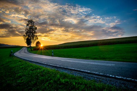 Asphalt Road with a Tree in a field and Sunrays in the sunset and orange clouds on the sky in the bavarian forestの写真素材