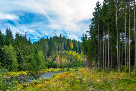River with green trees and clouds on the sky in the bavarian forestの写真素材