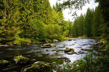 River with stones in the water and reflection on the creek and clouds on the sky in the bavarian forestの写真素材