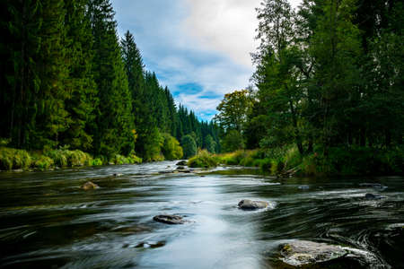 River with stones in the water and reflection on the creek and clouds on the sky in the bavarian forestの写真素材