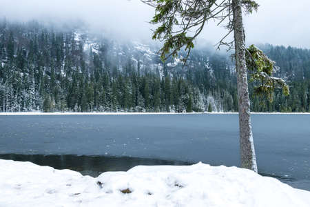 Frozen Lake with a tree and snow in front of and mountains with fog in the background in the bavarian forestの写真素材