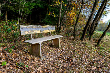 Bench in the autumn with trees and field in the bavarian forestの写真素材