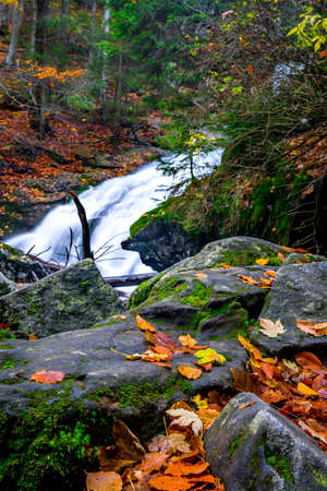 Small Waterfall in the autumn with wet stones and moss on the rocks and orange leaf in front of in the bavarian forestの写真素材