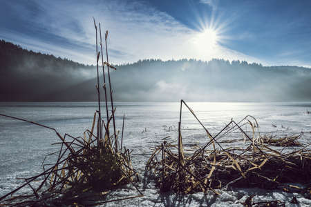 Grass with sunrays and clouds on the frozen lake with fog in the bavarian forestの写真素材
