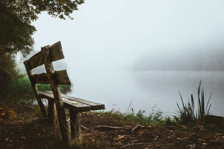 Old Bench on the shore at a lake with fog in the autumn and trees and leaves on the ground in the bavarian forestの写真素材