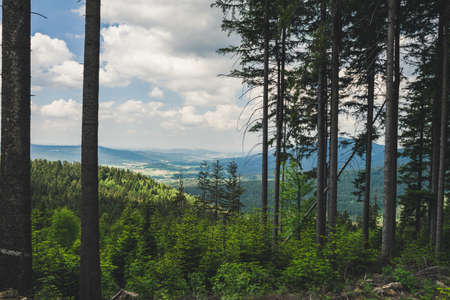 View from a mountain in the valley in the bavarian forest with trees in front of and mountains in the background and much clouds on the skyの写真素材