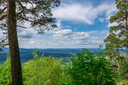 Tree with clouds on the sky and mountain in the background in the bavarian forest on a sunny dayの写真素材