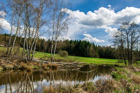 Trees with a lake with reflection from clouds in the bavarian forestの写真素材
