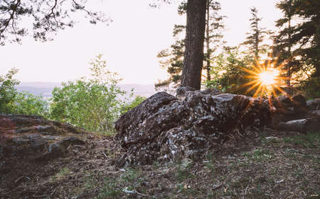 Sunset with Sunrays on top of a mountain in the bavarian forest with stones in front ofの写真素材