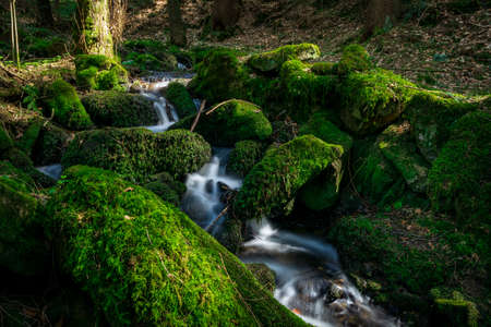 River with rocks and moss with a small waterfall in the bavarian forest with leaf on the groundの写真素材