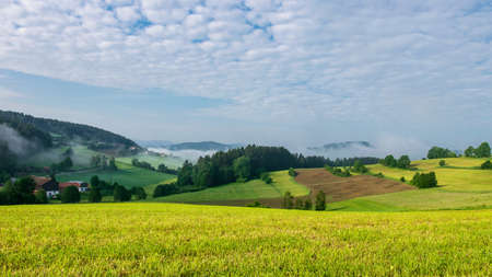 Field with clouds on the sky and fog in the morning in the bavarian forestの写真素材