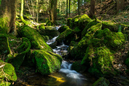 River with rocks and moss with a small waterfall in the bavarian forest with leaf on the groundの写真素材