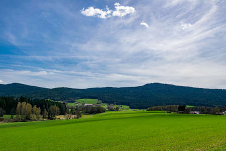 Landscape with trees and fields and a road under the clouds in the bavarian forestの写真素材