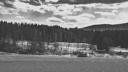 Landscape with clouds and trees in the bavarian forest in black and whiteの写真素材