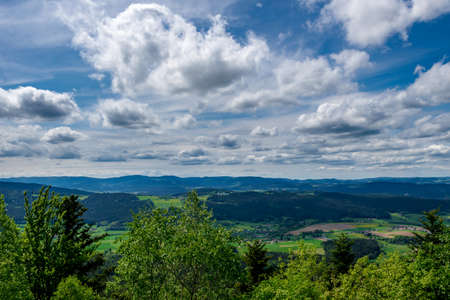 Tree with clouds on the sky and mountain in the background in the bavarian forest on a sunny dayの写真素材